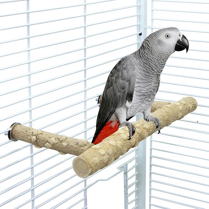 Bird Perch Stand, Bird Cage Top Perch Gym,Natural Wood Parrot Branch for Small Medium Large Parrot (M)
