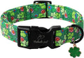 St Patricks Day Dog Collar for Medium Dogs - Lucky Flower Shamrock Green Dog Collars, Cute Irish Clover Puppy Collar with Quick Release Buckle for Girls&Boys Dogs M