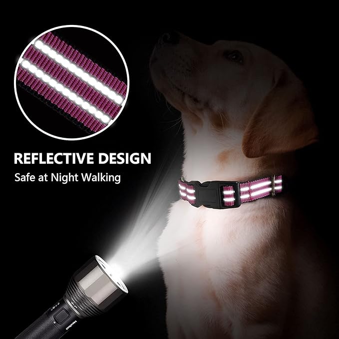 Martingale Dog Collar, Adjustable Nylon Reflective Collar with Buckle No Pull Dog Collar for Small Medium Large Dogs (Pink, M)