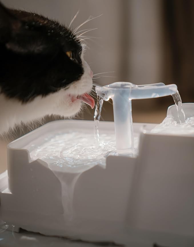 Dog Water Fountain Cat Automatic Water Bowel 3-Stage Design for Multi Pets Water Dispenser for Drinking Waterfall Fountain Kitty with Isolating Pump Filter, BPA-Free Easy Clean Quiet Indoor -2L/67oz