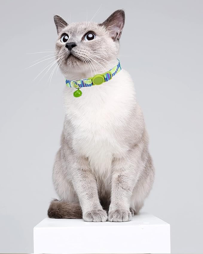 SOLMOONY Cute Cat Collar for Girl Boy,Colorful Breakaway Cat Collars with Bell 2 Pack，Adjustable Printed Nylon with Safety Buckles Kitten Collar (Cactus)
