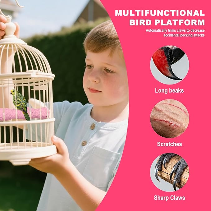 2pcs Bird Beak Grinding Stone, Resin Anti-Slip Beak Grinder Stone Bird Nail Trimming Claw Trimmer Perches Parrot Cage Stand Toys for Budgie Cockatiel Conure Parakeet Cage Accessories (Pink, Purple)