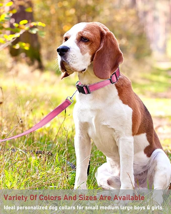 Reflective Dog Collar with Buckle Adjustable Safety Nylon Collars for Small Medium Large Dogs, Light Pink XXS