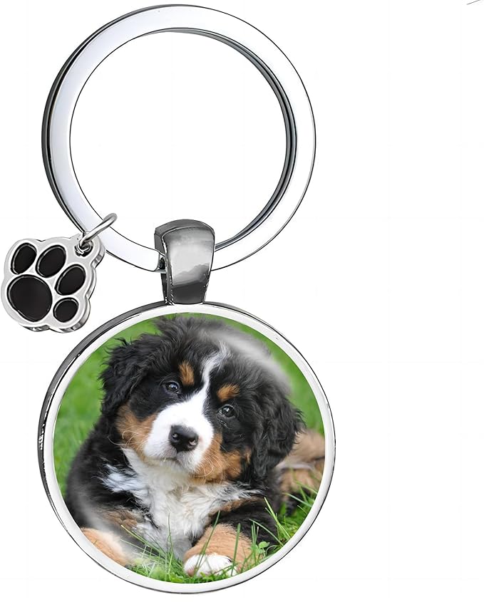 Custom Pet Photo Keychain Personalized Photo Pawprint Dog Tag Keychain Engraved Keyring Animal Pet Lover