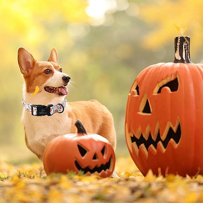 Fall Dog Collar, Cute Orange Pumpkin Pattern Puppy Collar, Soft Comfort Adjustable Holiday Thanksgiving Dog Collars for Small Medium Large Boy&Girl Dogs XS
