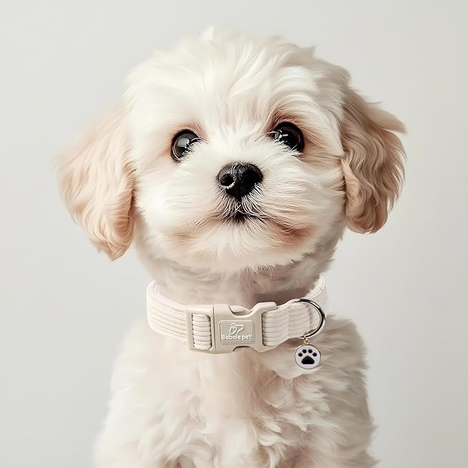 Cute Corduroy Dog Collar - White Adjustable Dog Collars for Medium Dogs 25-50lbs, Fade-Proof with Secure Snap & Little Charm, Christmas Birthday Gift, M