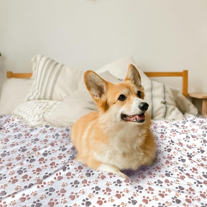 Dog Blankets for Medium Large Dogs Washable, 3 Pack Pet Blanket Washable 41" x 31", Fuzzy Soft Puppy Throw Cover for Kennel Crate Bed