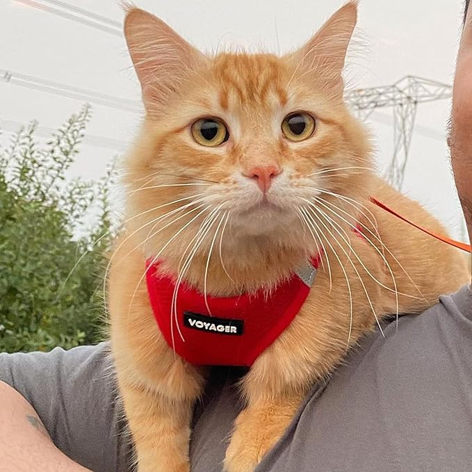 Best Pet Supplies Voyager Step-in Air All Weather Mesh Harness and Reflective Dog 5 ft Leash Combo with Neoprene Handle, for Small, Medium and Large Breed Puppies - Set (Red), M (Chest: 16-18")