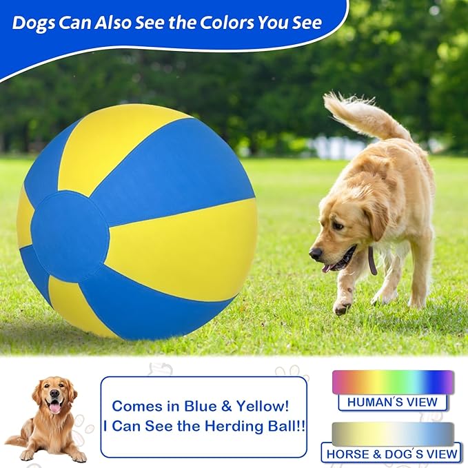 Herding Ball for Dogs, Dual Layered Set for Australian Shepherd, Cattle, Collie, Agility Equipment-Free Training Book (Blue & Yellow, Large-25 Herding Ball Set)