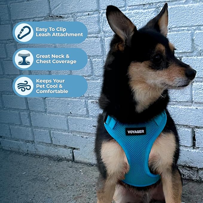 Voyager Step-in Pet Harness - All Weather Mesh, Adjustable Step in Harness for Cats and Dogs by Best Pet Supplies - Turquoise, M