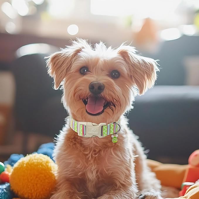 Easter Dog Collar for Large Dogs - Brightly Colored Stripe Easter Collars for Boy Girl Dogs, Adjustable Spring Holiday Pet Collars with Quick Release Buckle XL