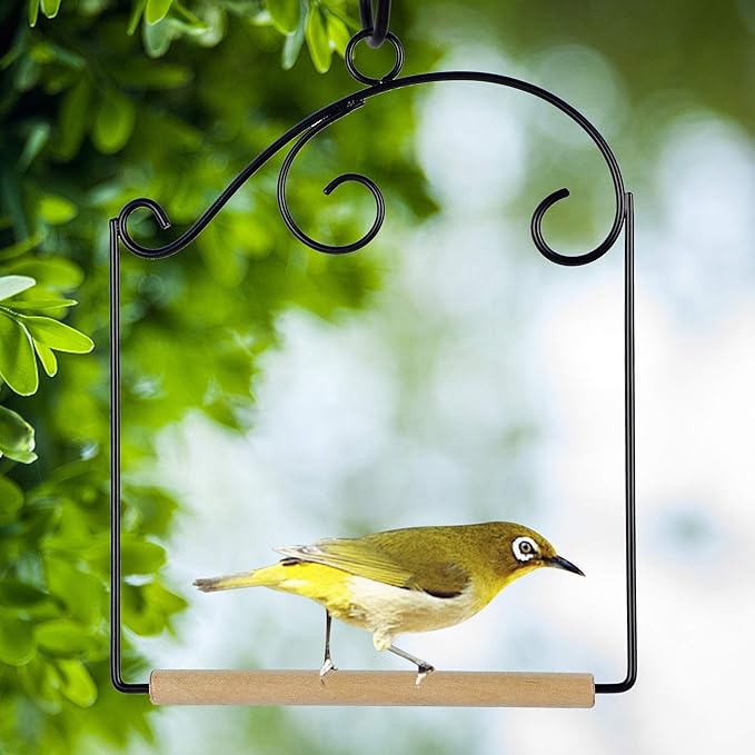 winemana Set of 3 Hummingbird Swings, Rust Resistant Metal Frame, Wooden Dowel, Attach to Bird Feeders, Perfect for Hanging Indoor Office Outdoor Trunk Lawn Patio Garden (7.5" x 5.6")