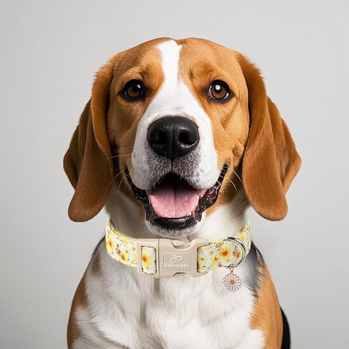 Sunflower Dog Collar, Adjustable Cute Dog Collars for Puppy Small Dogs, Lightweight Summer Fall Pet Collar with Quick-Release Buckle for Boy&Girl Dogs XS