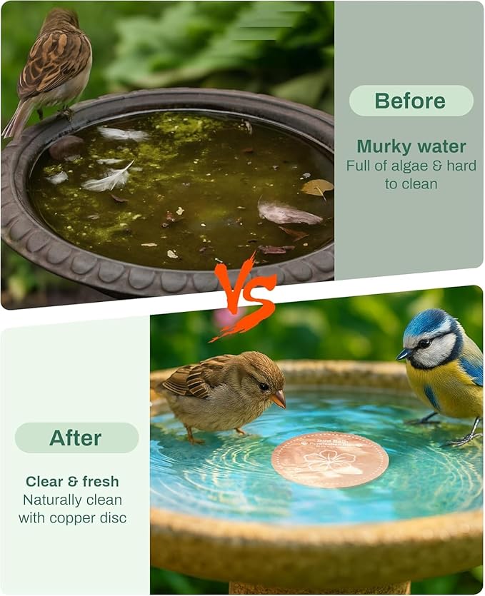 Bird Bath Purification Disk Pure Copper Outside Winter Solar Power Birdbath Hummingbird Bee Water Fountain Window Feeder Stand Nectar Food Pole House Hanging Birdhouse Small Large Accessories