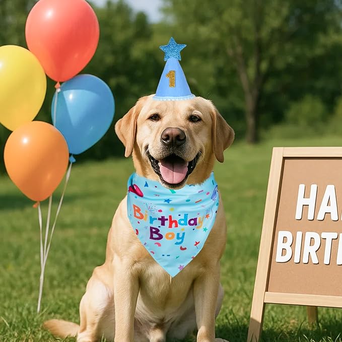 Dog Boy Girl Birthday Party Hat, Dog Birthday Party Supplies, Birthday Bandana Set with Numbers for Gaint and Extra Large Dogs (Blue)
