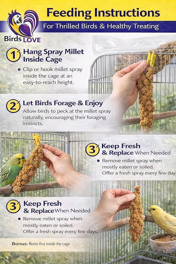 Birds LOVE Millet Tips & Tails for Birds - Parakeets, Cockatiels, Lovebirds, Finches, Budgies, Canaries, Cockatoos - Natural & Healthy Millet for Birds - Parakeet Food & Treats for All Parrots, 1lb