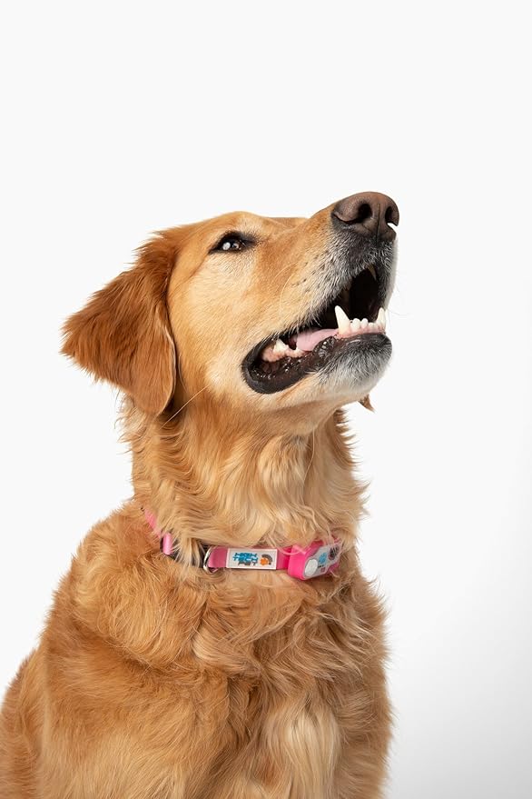 MS-5 Designer Series, Premium Performance Automatic Pet Door Collar by High Tech Pet Brand - Class A Battery Included - Stylish Design - Waterproof - Rugged - USA Support (Pink)