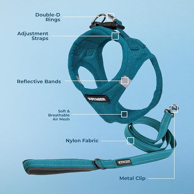 Best Pet Supplies Voyager Step-in Air All Weather Mesh Harness and Reflective Dog 5 ft Leash Combo with Neoprene Handle, for Small, Medium and Large Breed Puppies - Set (Turquoise), XXS