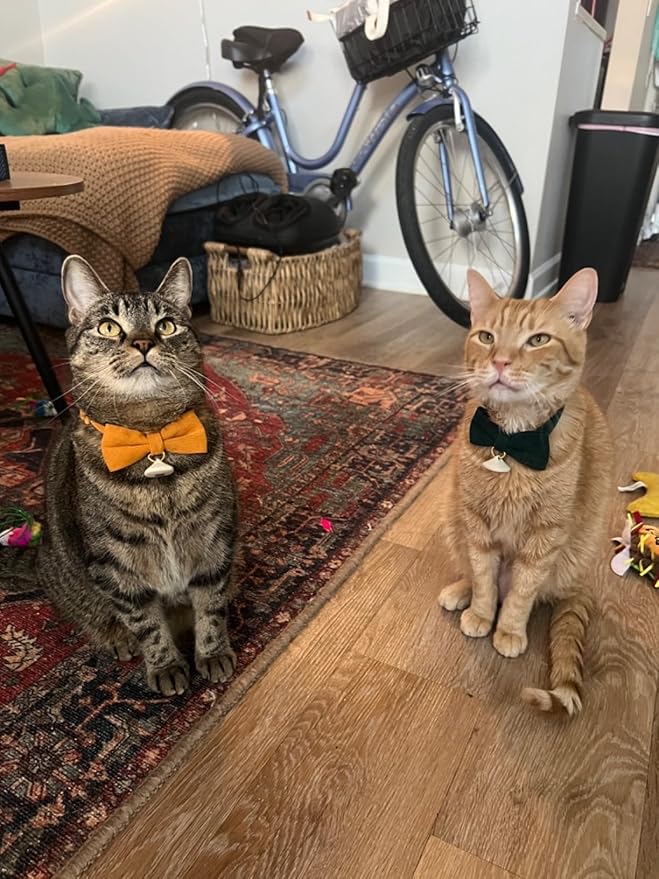 2 Pack Soft Corduroy Cat Collars with Bow Tie & Bell, Adjustable Breakaway Cotton Kitty Bowtie Collar for Boy Male Cats(Black & Green)