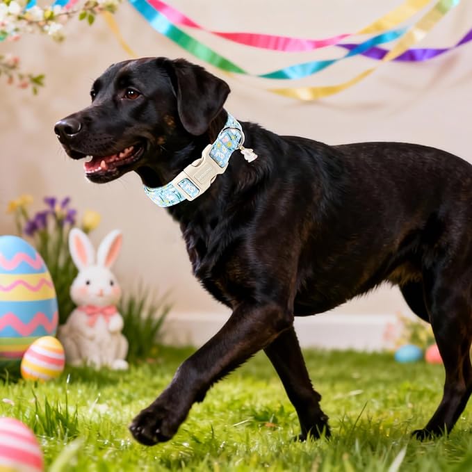 DOGWONG Easter Dog Collar-Cute Easter Rabbit Bunnies Egg Dog Collar, Adjustable Soft Easter Dog Collar for Small Medium Large Dogs, M