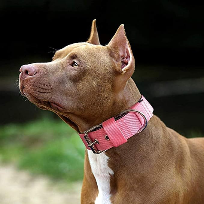 Heavy Duty Tactical Dog Collar - 1.5" Width Military Durable Thick Nylon with Adjustable Metal D Ring & Buckle Working Training K9 Collar for Medium Large Dogs (M(17"-20"), Pink)