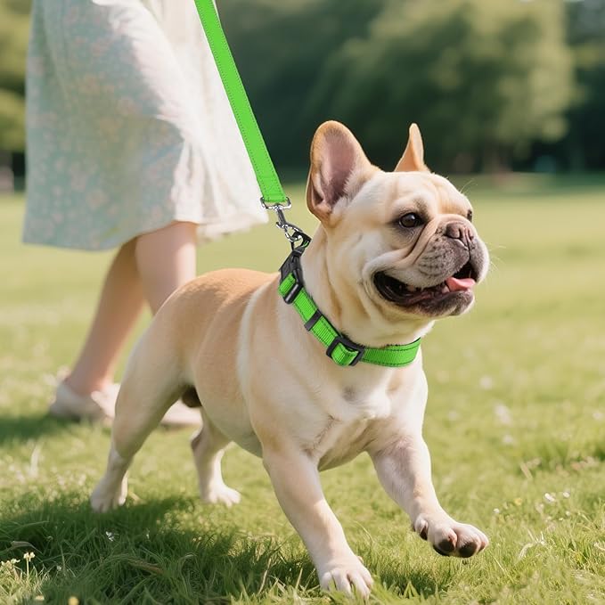 Joytale Reflective Dog Collar, Soft Neoprene Padded, Metal D-Ring, Nylon Pet Collar Adjustable for Small Dogs, Green, S