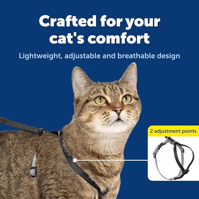 PetSafe Come With Me Kitty Cat Harness & Bungee Leash - Comfortable Cat Harness with Lightweight Bungee Leash for Outdoor Fun - More Secure Walks - Medium - Black