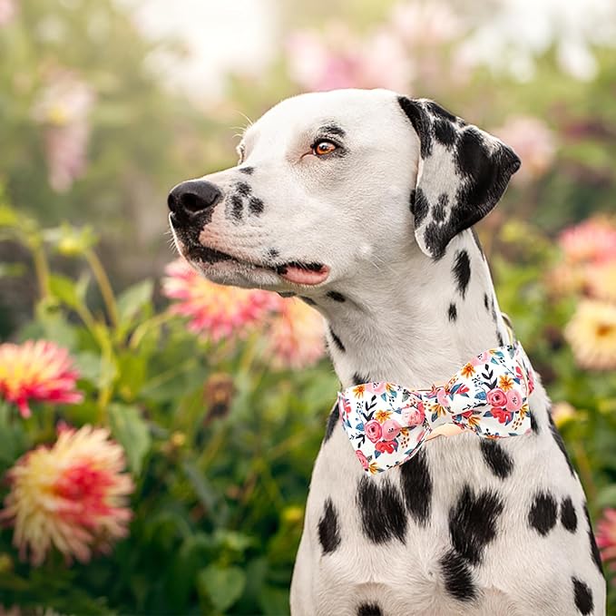 Lionheart glory Dog Collar Bow Collar Floral Dog Collar with Bow Tie Spring Summer Cute Collar Dog Boy or Girl Dog Collars Soft Durable Adjustable Dog Collars for Small Dogs