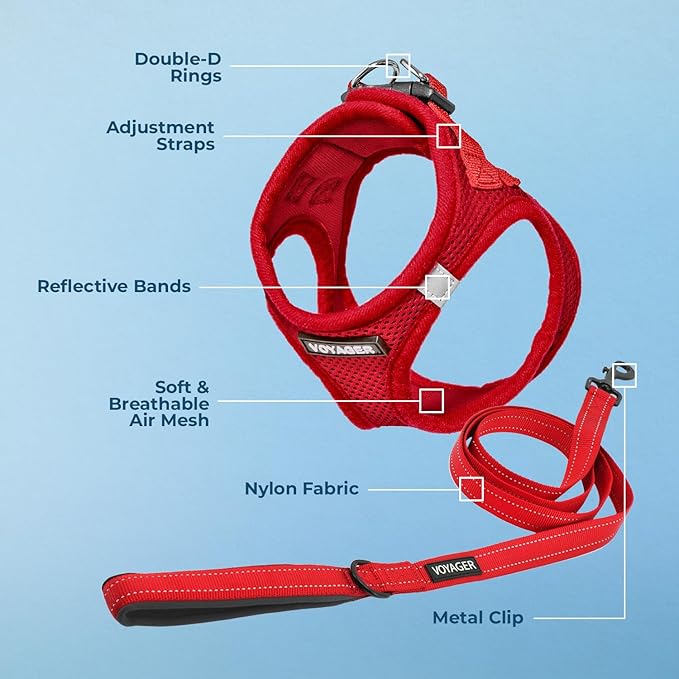 Best Pet Supplies Voyager Step-in Air All Weather Mesh Harness and Reflective Dog 5 ft Leash Combo with Neoprene Handle, for Small, Medium and Large Breed Puppies - Set (Red), M (Chest: 16-18")
