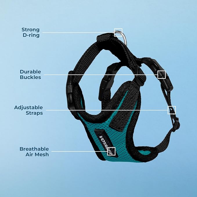 Voyager Step-in Pet Harness - All Weather Mesh, Adjustable Step in Harness for Cats and Dogs by Best Pet Supplies - Turquoise/Black Trim, S