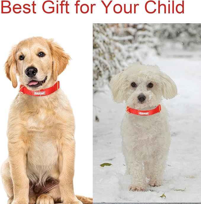 Nylon Dog Collar - Adjustable Red Soft Webbing Dog Collars for Small Medium Large Dogs Boy Girl Puppy Collar with Safety Metal Buckle S