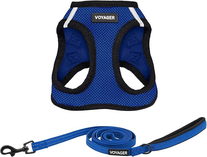 Best Pet Supplies Voyager Step-in Air All Weather Mesh Harness and Reflective Dog 5 ft Leash Combo with Neoprene Handle, for Small, Medium and Large Breed Puppies - Royal Blue/Black Trim, XX-Small