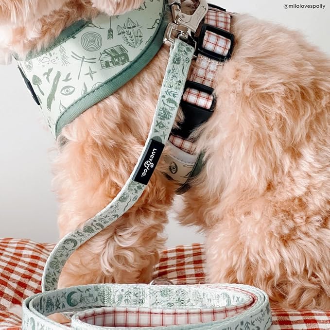 Lucy & Co. Cute Reversible Dog Harness Walking Halter - Best Designer Pet Harnesses for XS - XL Dogs - Padded Adjustable Vest for Easy Walking-XLarge-Green Outdoor Plaid