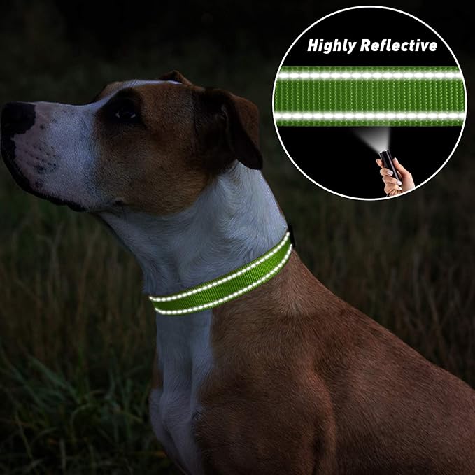 TagME Small Dog Collars, Adjustable Reflective Nylon Pet Collar with Quick Release Buckle for Small Dogs, Green, 5/8" Width