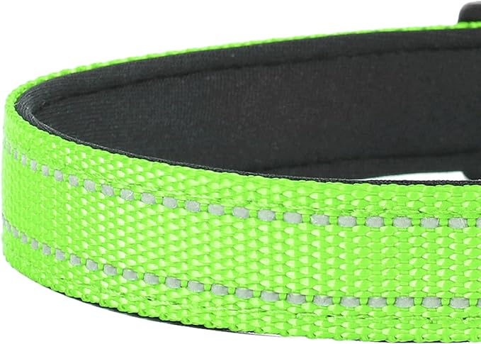 Reflective Dog Collar, Adjustable Soft Neoprene Padded Nylon Pet Collars with Buckle for Small Dogs, Green,S