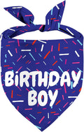 Birthday Boy Dog Bandanas 1 Pack, Blue Birthday Dog Scarfs for Boys, Pet Scarves for Boy HBD Bandanas for Small Medium Large Dogs (Birthday Boy, Small)