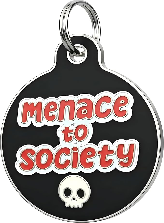 Bad Tags Personalized Dog and Cat ID Tags in 25+ Designs and 2 Sizes - 5 Lines of Custom Engraved Text - Funny Cute Personalized Pet Tags (Menace to Society, Small (1 inch))