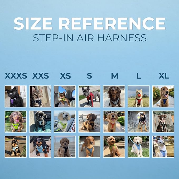 Best Pet Supplies Voyager Step-in Air All Weather Mesh Harness and Reflective Dog 5 ft Leash Combo with Neoprene Handle, for Small, Medium and Large Breed Puppies - Set (Baby Blue), XL