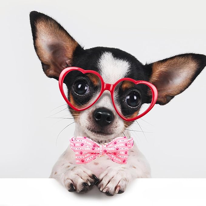 Lionheart glory Dog Bow Collar Valentine's Day Dog Collar for Medium Dogs, Pink Dog Collars with Bowtie Spring Dog Collar Pet Collar Bows