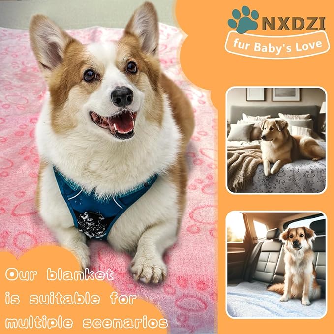 Dog Blankets for Small Medium Dogs Washable, 3 Pack Pet Blanket Washable 30" x 20", Fuzzy Soft Puppy Throw Cover for Kennel Crate Bed
