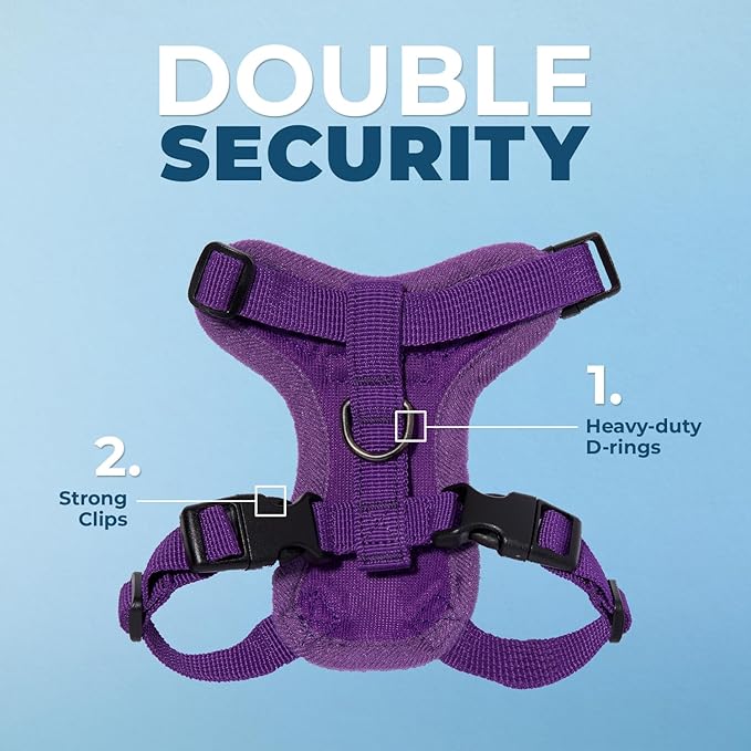 Voyager Escape-Proof Step-in Lock Cat Harness & 5ft Neoprene-Handle Leash Set All-Weather Mesh with Reflective Stitching for Small to Large Cats by Best Pet Supplies, Purple, S