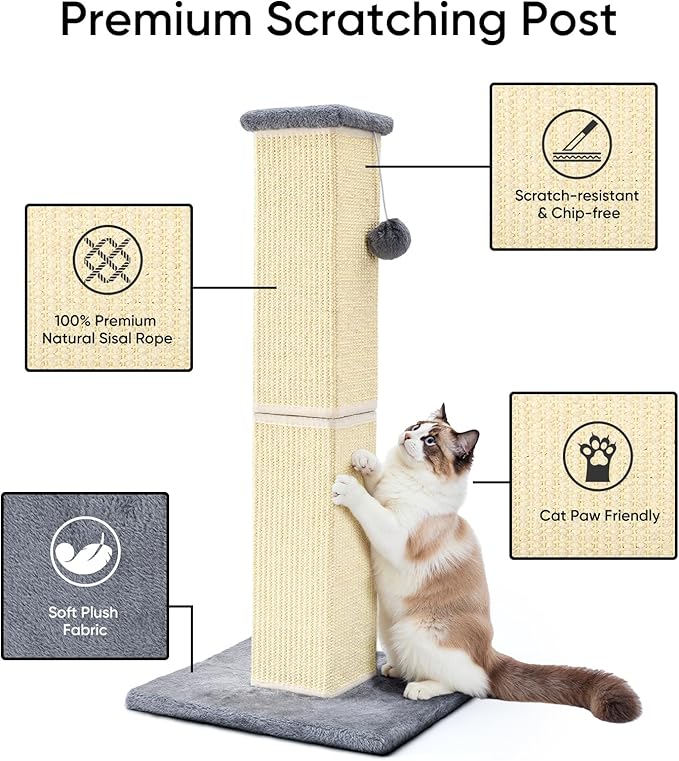 32" Tall Cat Scratching Post for Large Indoor Cats & Kittens, Cat Scratcher with Extra Large Stable Base and Natural Sisal, Sturdy Cat Scratch Post to Protect Furniture & Couch, Grey