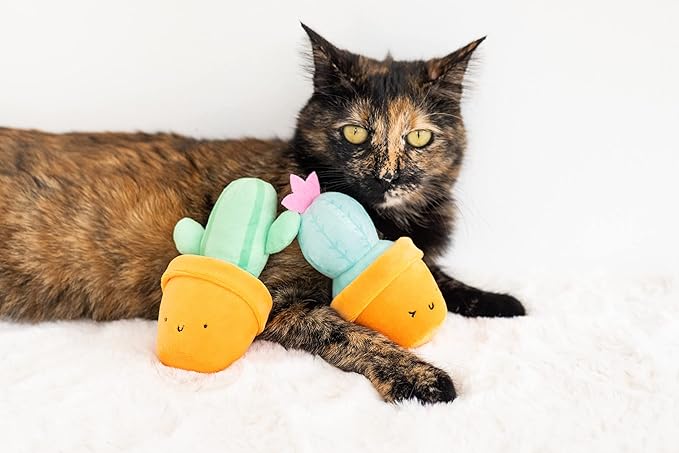 Pearhead Prickly Plants Cat Toy Set, Cute Catnip Toys, Plush Cactus Interactive Chew Toys, Pet Owner Must Have Catnip Toys, Set of 2 Plush Toys