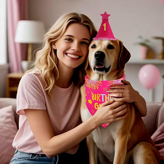 Dog Birthday Party Supplies, Rose Pink Dog Birthday Set with Hat Bandana Numbers for XLarge Large Girl Pets Puppy