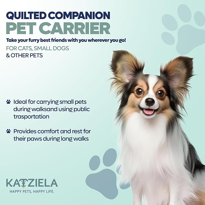 Deluxe Quilted Airline Approved Pet Dog & Cat Carrier for Airplane Travel - by Katziela (Large, Gray)