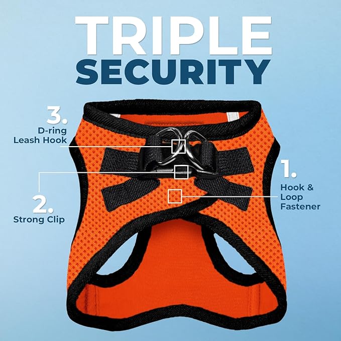 Best Pet Supplies Voyager Step-in Air All Weather Mesh Harness and Reflective Dog 5 ft Leash Combo with Neoprene Handle, for Small, Medium and Large Breed Puppies - Orange/Black Trim, Medium