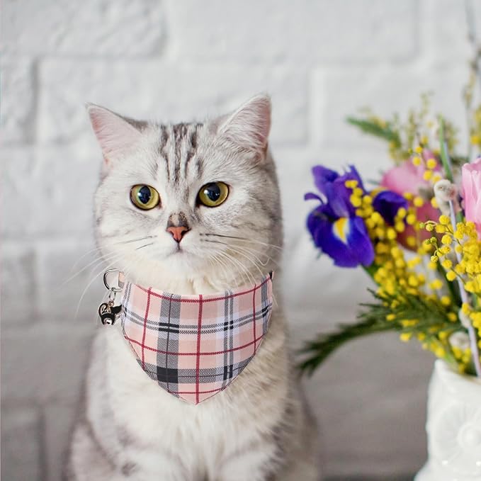 SCENEREAL Plaid Cat Collar with Bow Bandana - 2 Pack Breakaway Kitten Collar with Removable Bowtie Bell, Adjustable Cute Cat Collar for Cats Kittens, Beige
