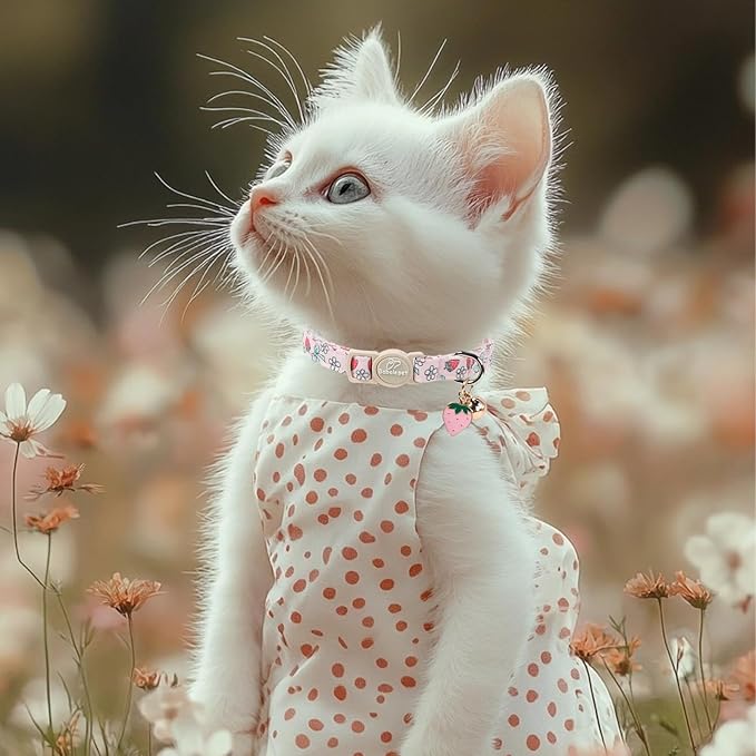 2 Pack Strawberry Cat Collars - Cute Girly Pink Breakaway Cat Collar with Bell & Matching Pendant, Adjustable Spring Summer Sweet Garden Kitten Collars for Girl Cats