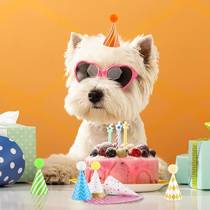 10 PCS Colorful Mini Party Hats for Stuffed Animals Lovely Paper Cone Tiny Birthday Hats for Stuffed Animals Pets Baby, Accessories