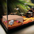 Natural Shrimp Cave for Aquarium – Safe Fish Tank Decor, Breeding Hideout for Freshwater Shrimp, Cichlids & Small Fish